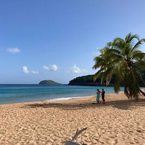Coco-mango A Deshaies